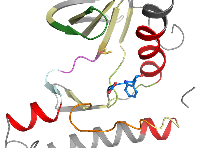 The orthosteric binding pocket