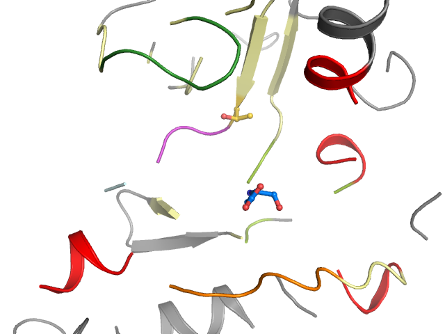 The orthosteric binding pocket