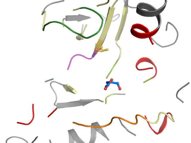 The orthosteric binding pocket