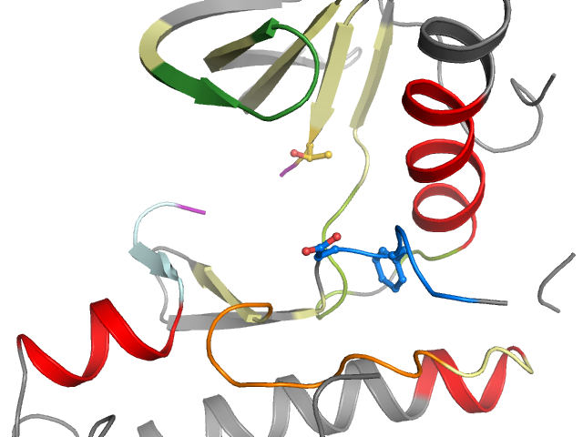 The orthosteric binding pocket