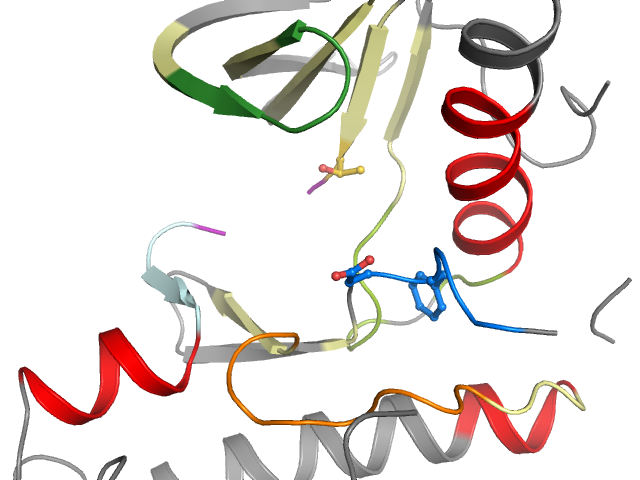 The orthosteric binding pocket