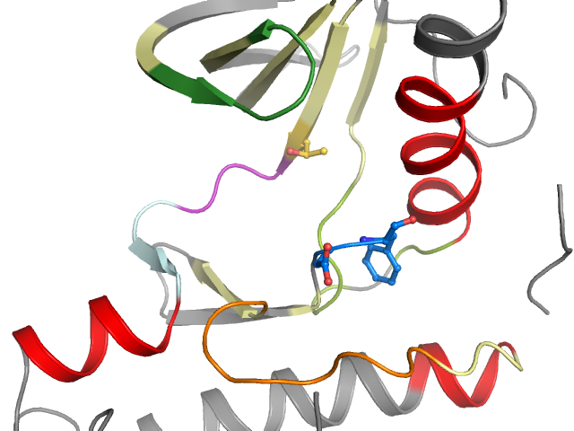 The orthosteric binding pocket