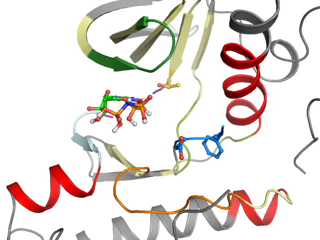 The orthosteric binding pocket