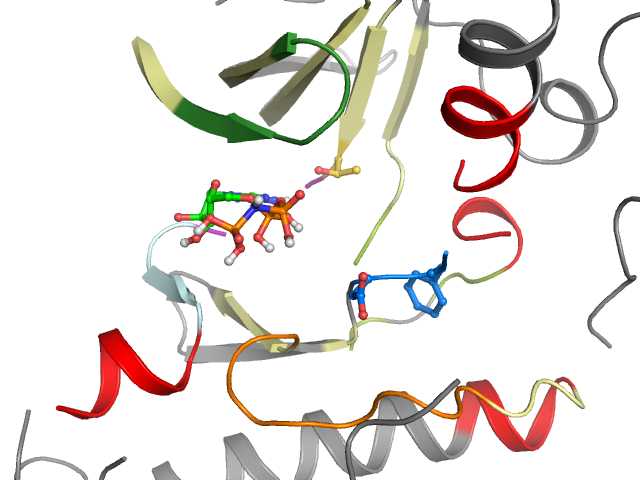 The orthosteric binding pocket
