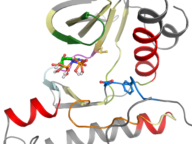 The orthosteric binding pocket