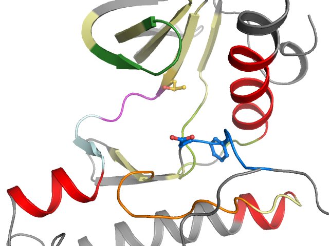 The orthosteric binding pocket