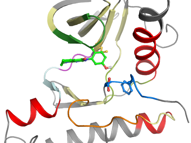 The orthosteric binding pocket