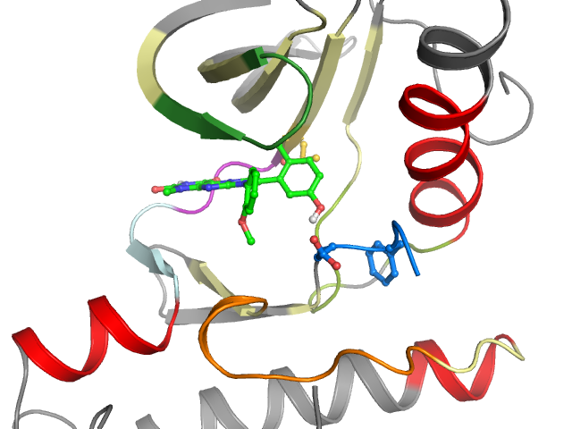 The orthosteric binding pocket