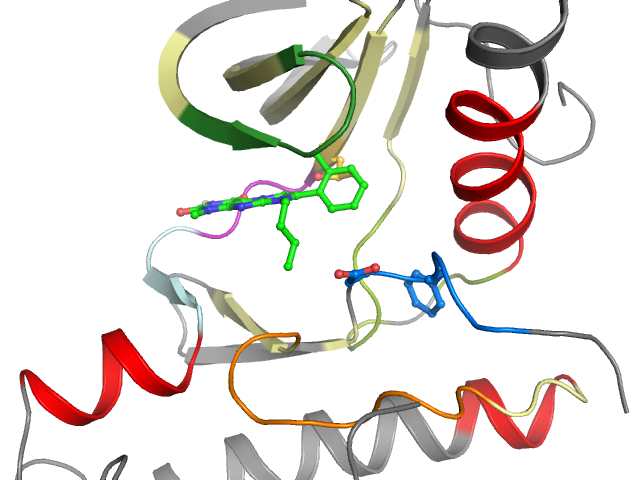 The orthosteric binding pocket