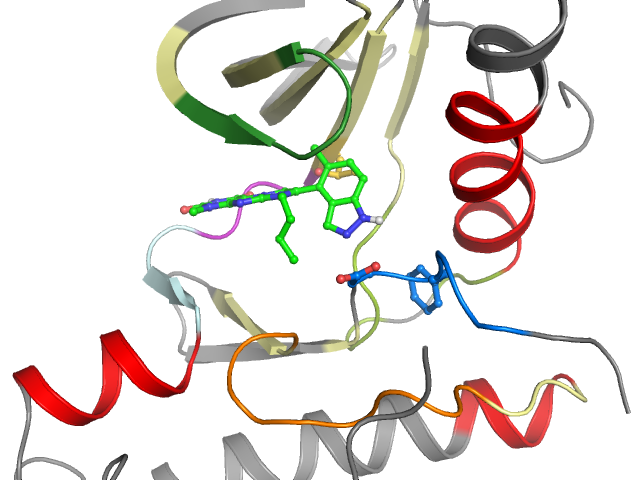 The orthosteric binding pocket