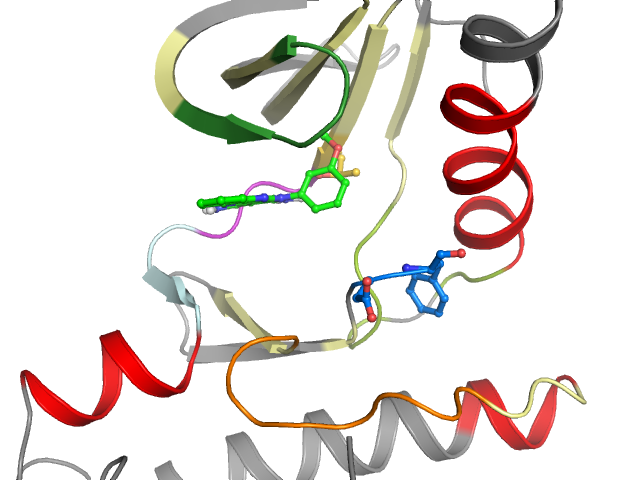 The orthosteric binding pocket