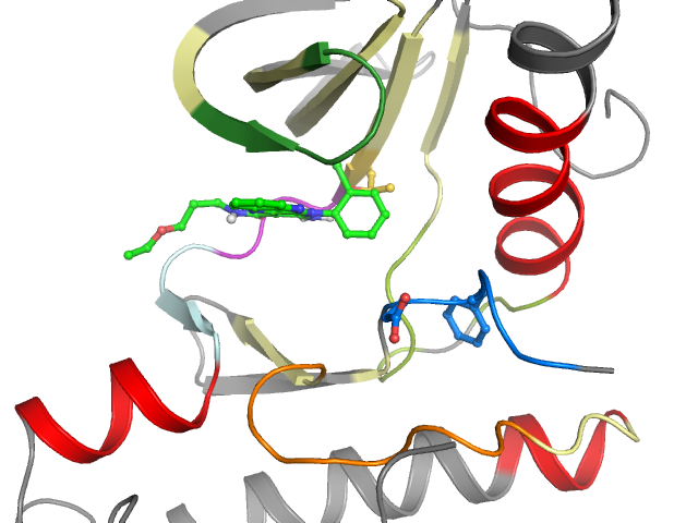 The orthosteric binding pocket