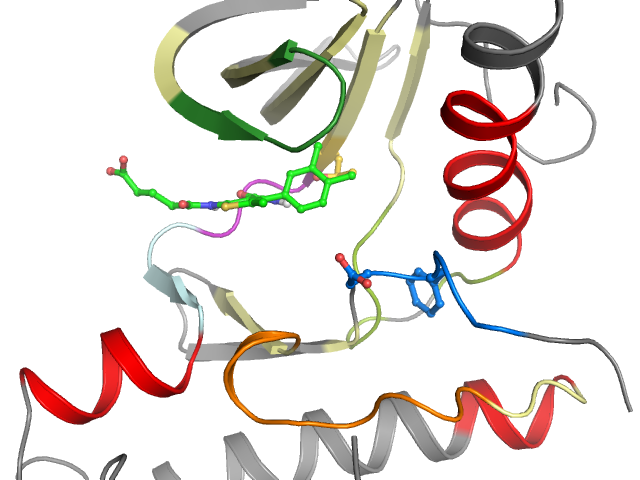 The orthosteric binding pocket