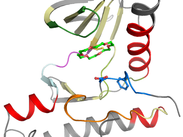 The orthosteric binding pocket