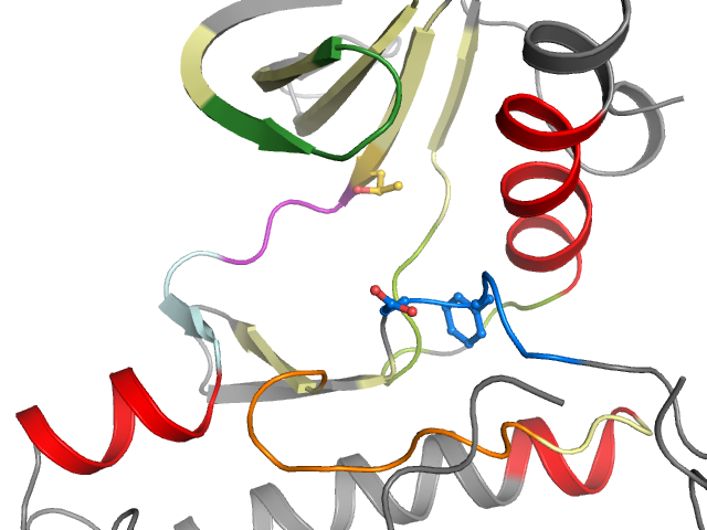 The orthosteric binding pocket