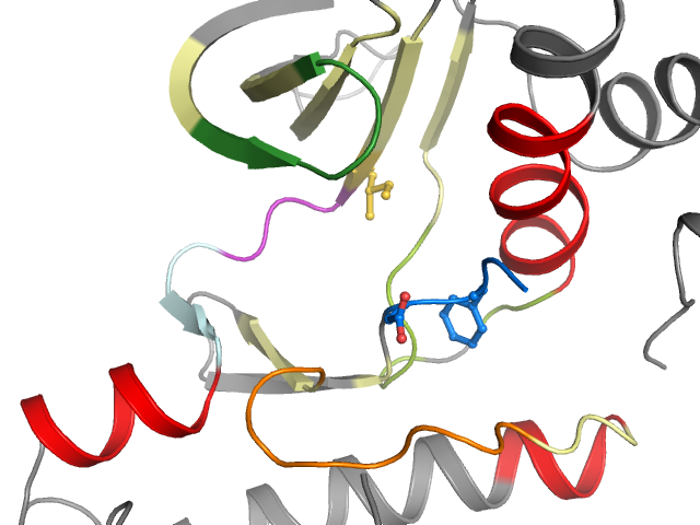 The orthosteric binding pocket