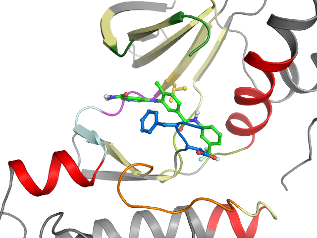 The orthosteric binding pocket