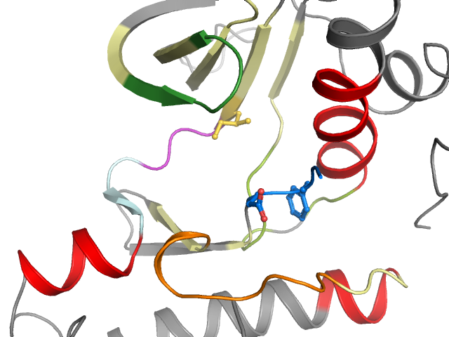 The orthosteric binding pocket