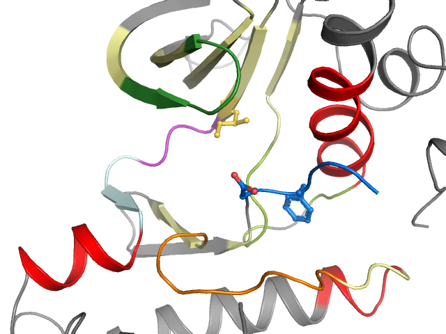 The orthosteric binding pocket
