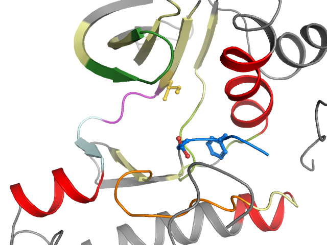 The orthosteric binding pocket