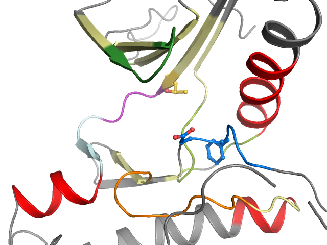 The orthosteric binding pocket