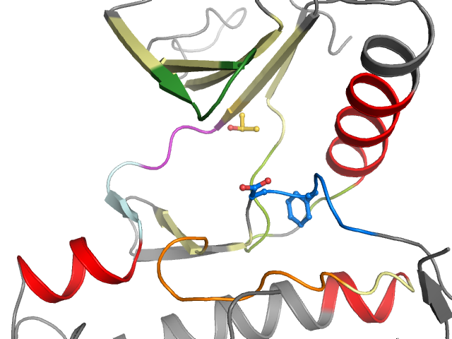 The orthosteric binding pocket