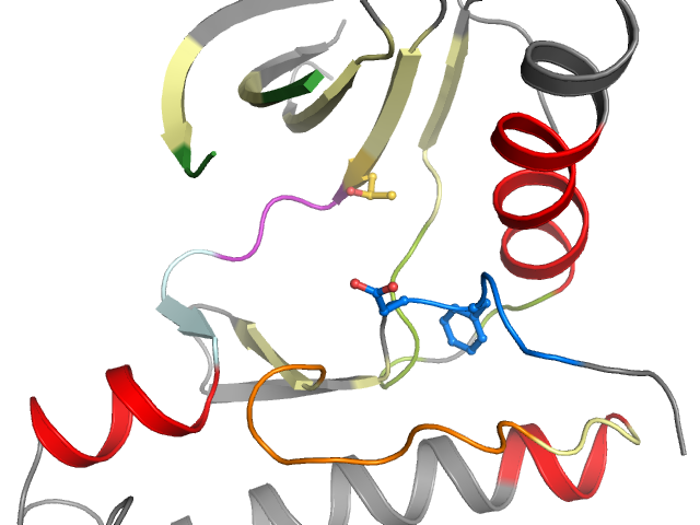 The orthosteric binding pocket