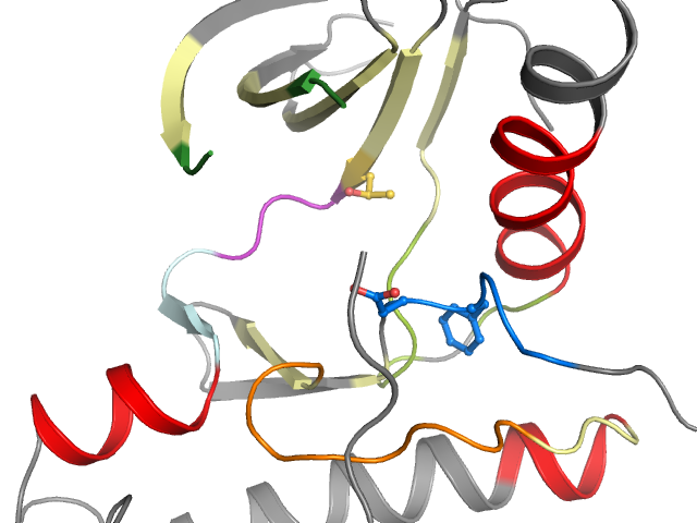 The orthosteric binding pocket