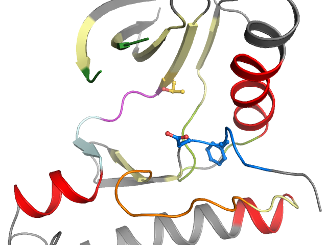 The orthosteric binding pocket