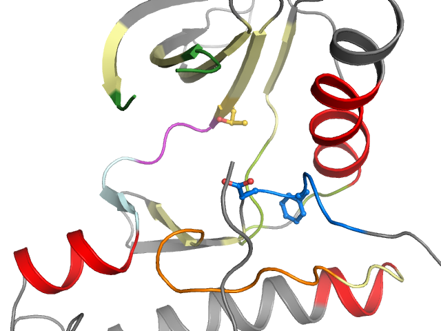 The orthosteric binding pocket