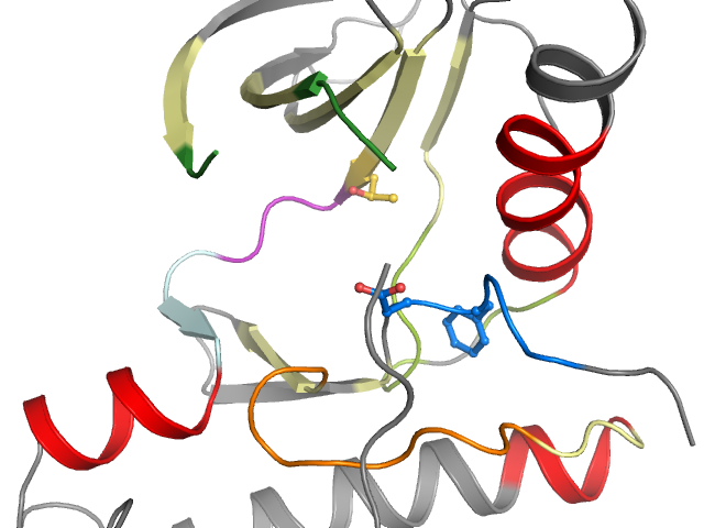 The orthosteric binding pocket