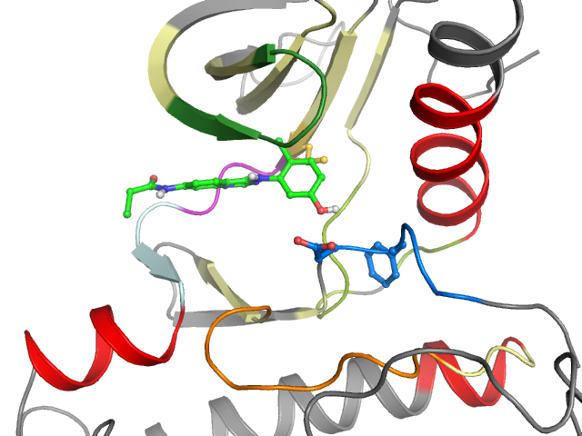 The orthosteric binding pocket