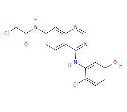 2D structure of the orthosteric ligand