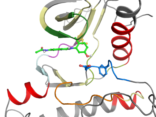 The orthosteric binding pocket