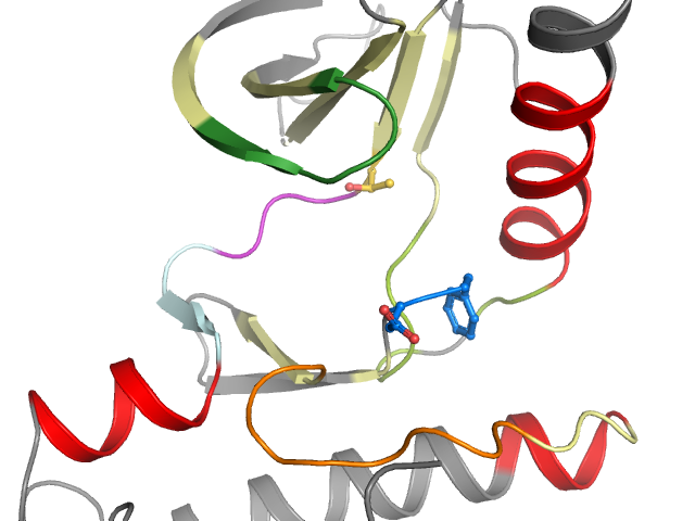 The orthosteric binding pocket
