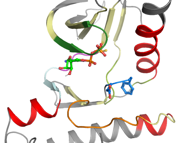 The orthosteric binding pocket