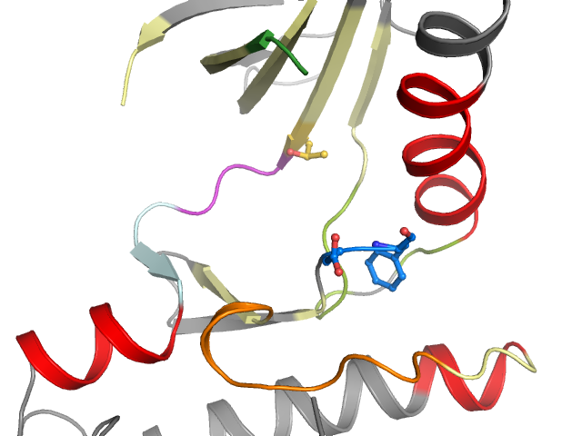 The orthosteric binding pocket