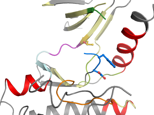 The orthosteric binding pocket