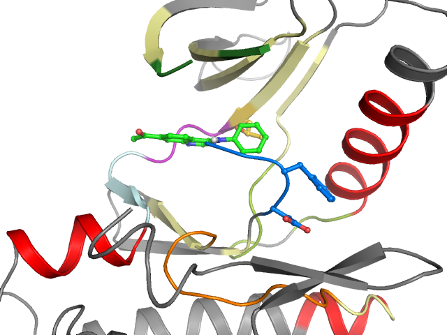 The orthosteric binding pocket
