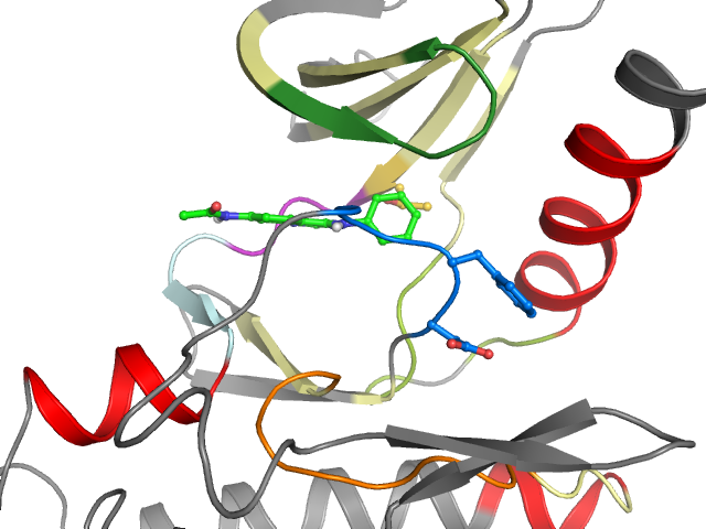 The orthosteric binding pocket
