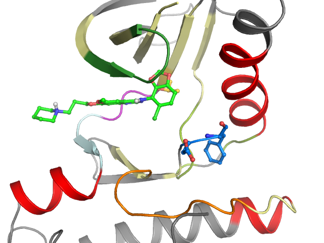The orthosteric binding pocket