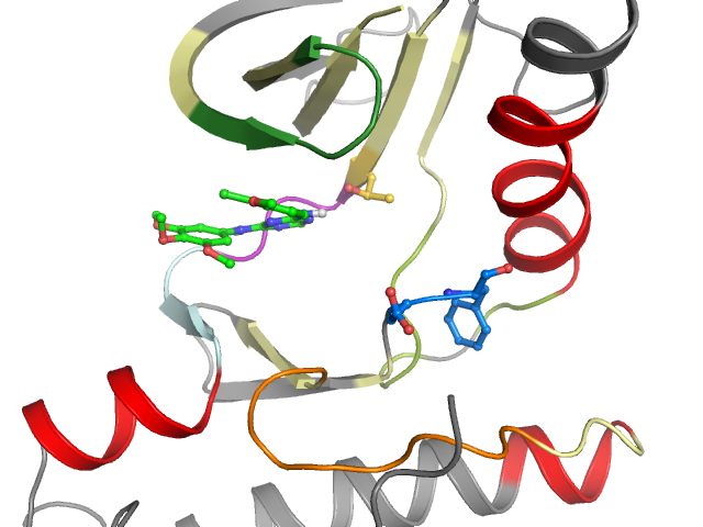 The orthosteric binding pocket