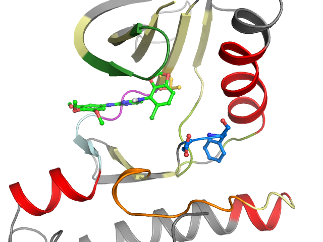 The orthosteric binding pocket