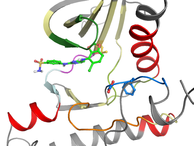 The orthosteric binding pocket