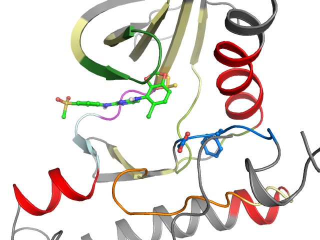The orthosteric binding pocket