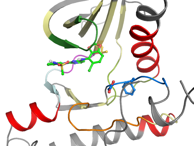 The orthosteric binding pocket