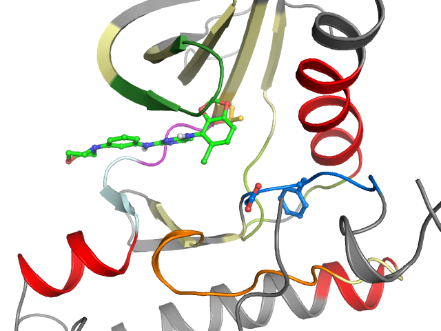 The orthosteric binding pocket