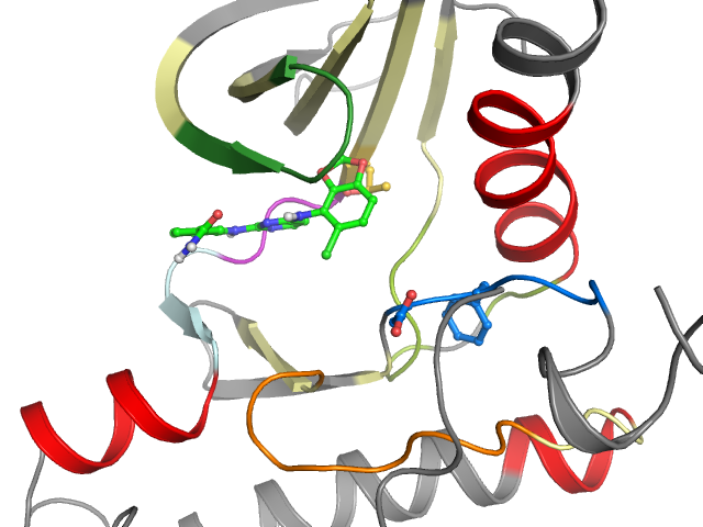 The orthosteric binding pocket