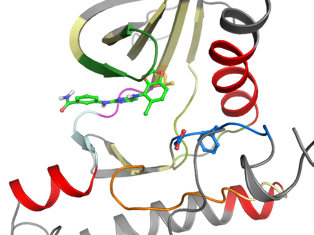 The orthosteric binding pocket