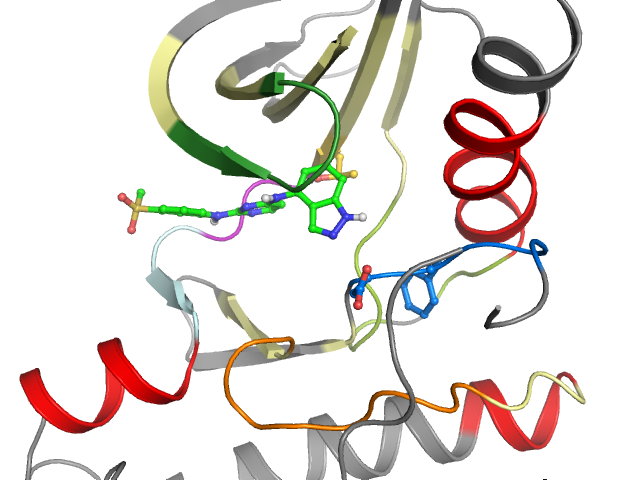 The orthosteric binding pocket